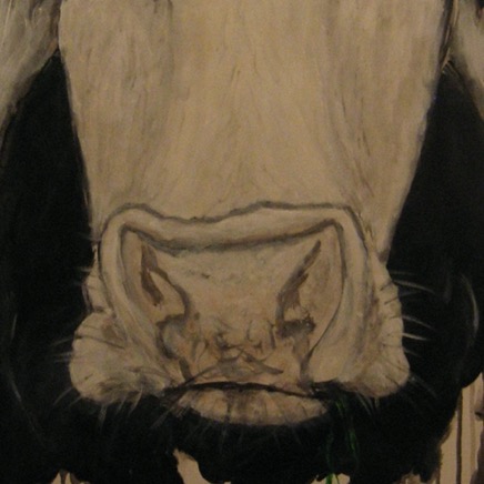 schwarzbunte 40 x 100.jpg